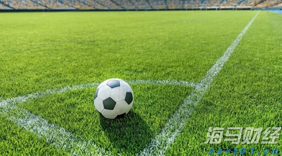 2024年度全国三八红旗手谢冰梅:“回游青年”反哺桑梓 挑起乡村振兴担子